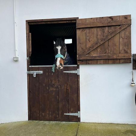 Toddys Hideaway Apartment Cavan Luaran gambar